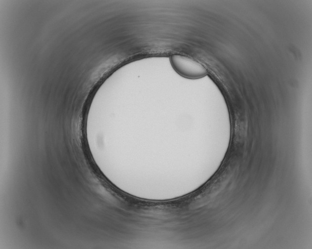 X0000112880485200910021356