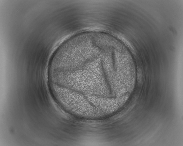 X0000112880486200910021356