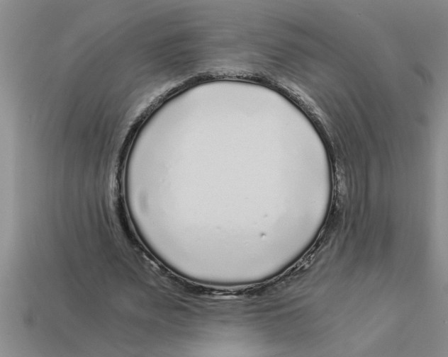 X0000112880487200910021356