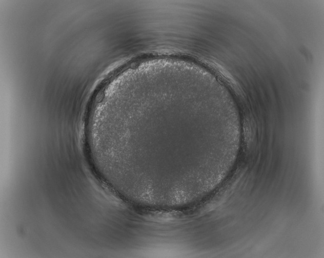 X0000112880488200910021356