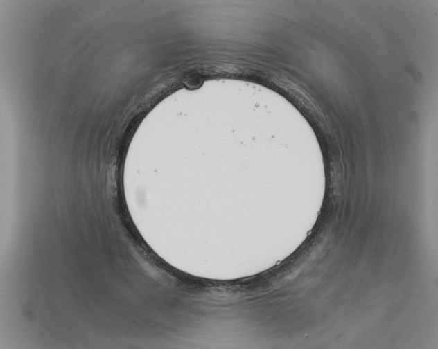 X0000112880489200910021356