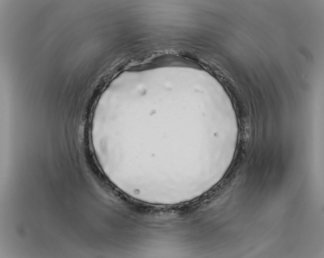 X0000112880491200910021356