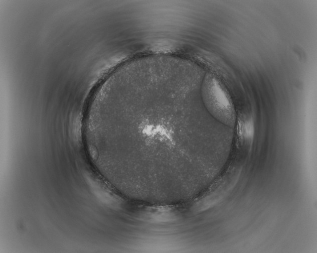 X0000112880492200910021356