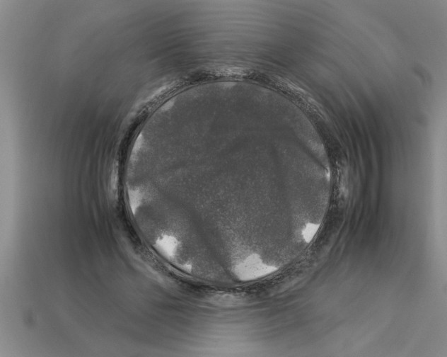 X0000112880494200910021356