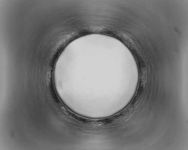 X0000112880495200910021356