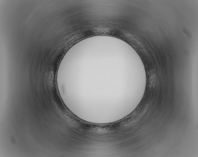 X0000112880498200910021356