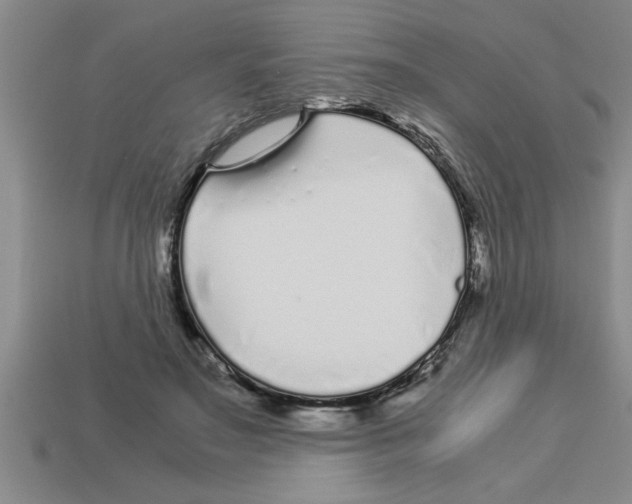 X0000112880499200910021356