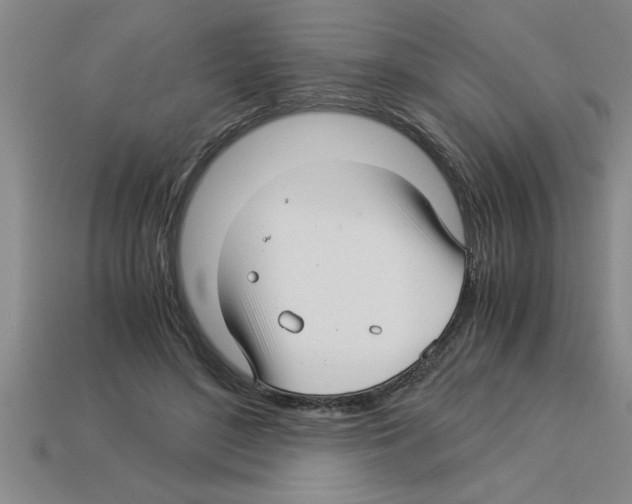 X0000112880500200910021356