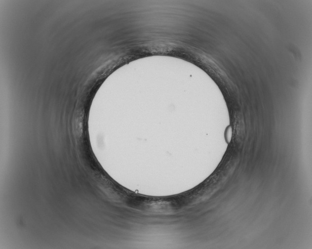 X0000112880501200910021356