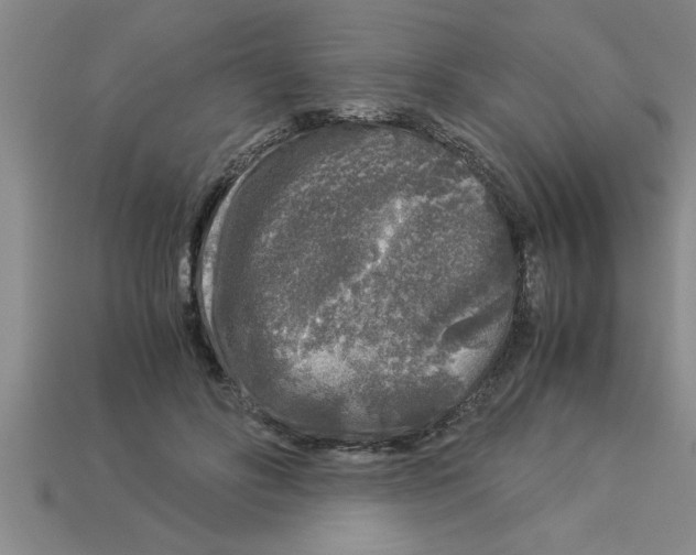 X0000112880502200910021356