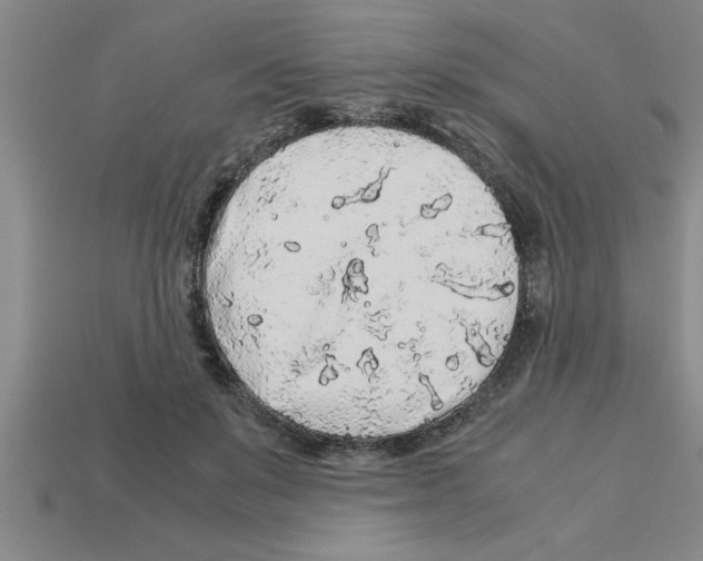 X0000112880503200910021356