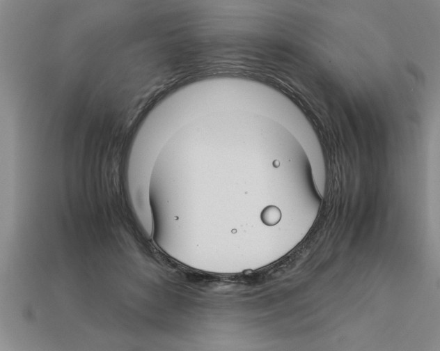 X0000112880504200910021356