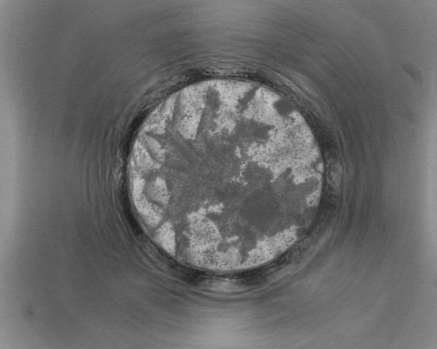 X0000112880507200910021356