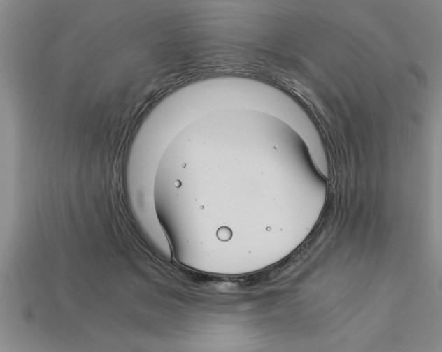 X0000112880509200910021356