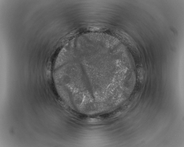 X0000112880510200910021356