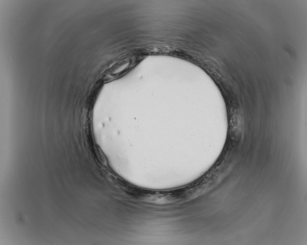 X0000112880511200910021356