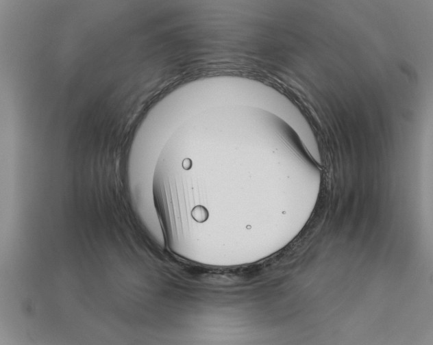 X0000112880512200910021356