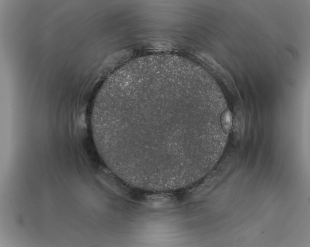 X0000112880516200910021356