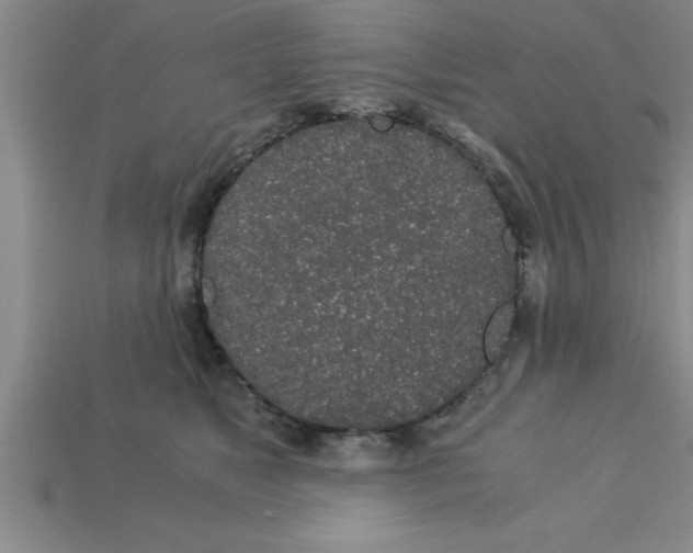 X0000112880517200910021356