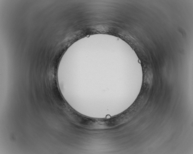 X0000112880518200910021356