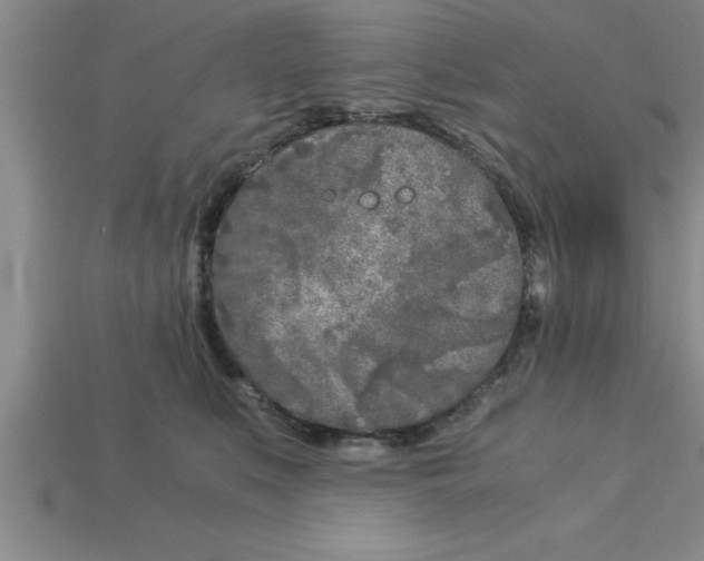 X0000112880519200910021356