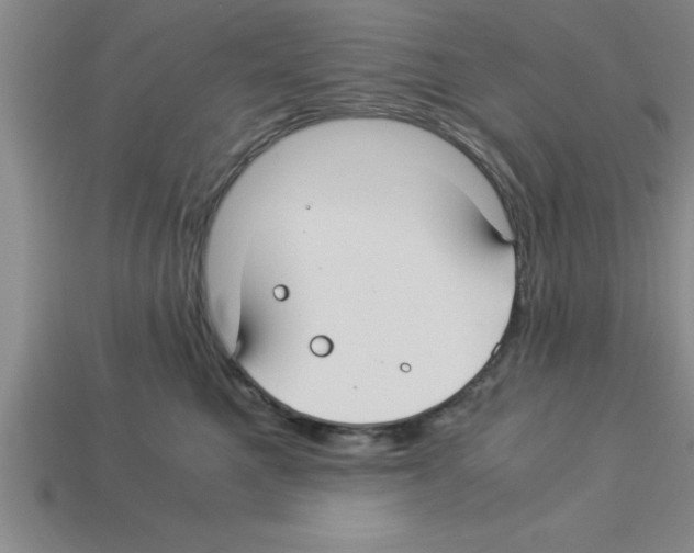 X0000112880521200910021355