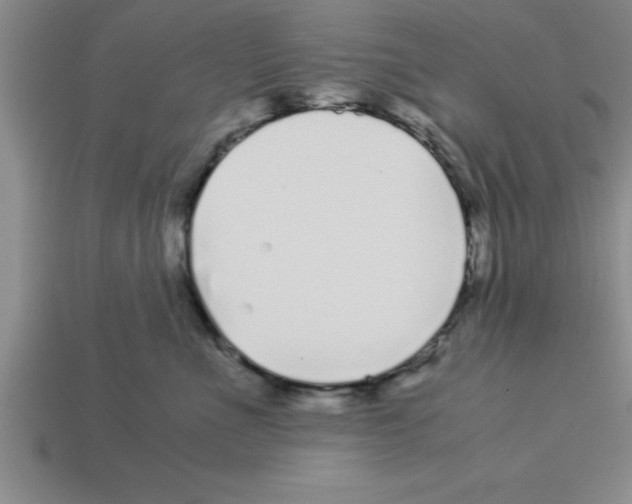 X0000112880523200910021355