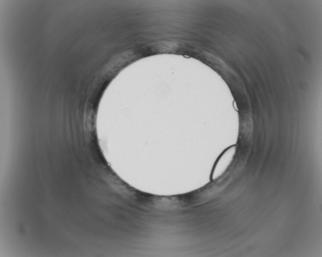 X0000112880525200910021355