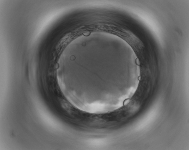 X0000112880526200910021355