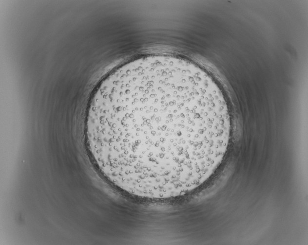 X0000112880529200910021355