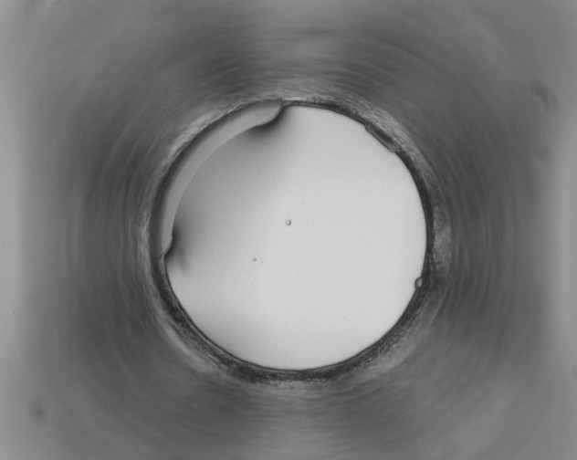 X0000112880530200910021355