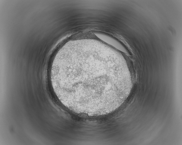 X0000112880531200910021355