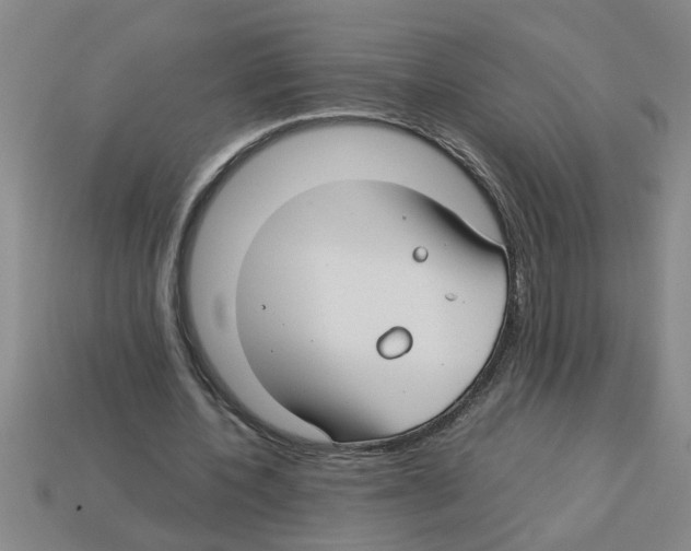 X0000112880532200910021355