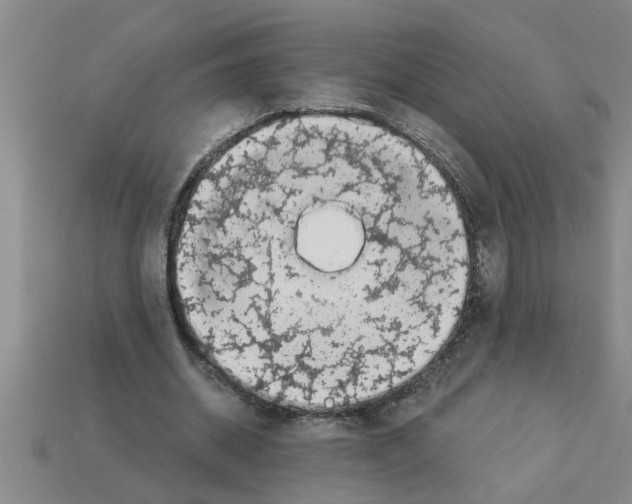 X0000112880534200910021355