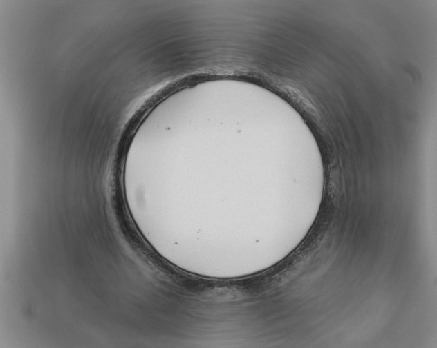 X0000112880536200910021355