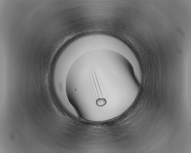 X0000112880540200910021355