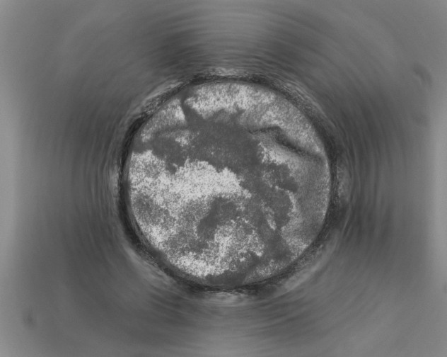 X0000112880542200910021355