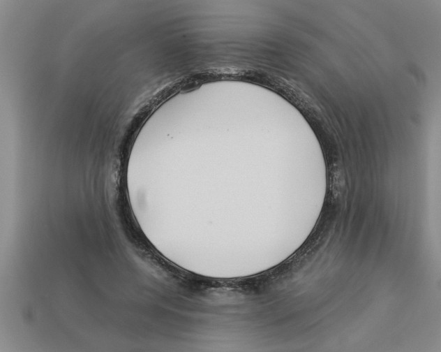 X0000112880544200910021355