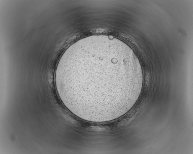 X0000112880545200910021355