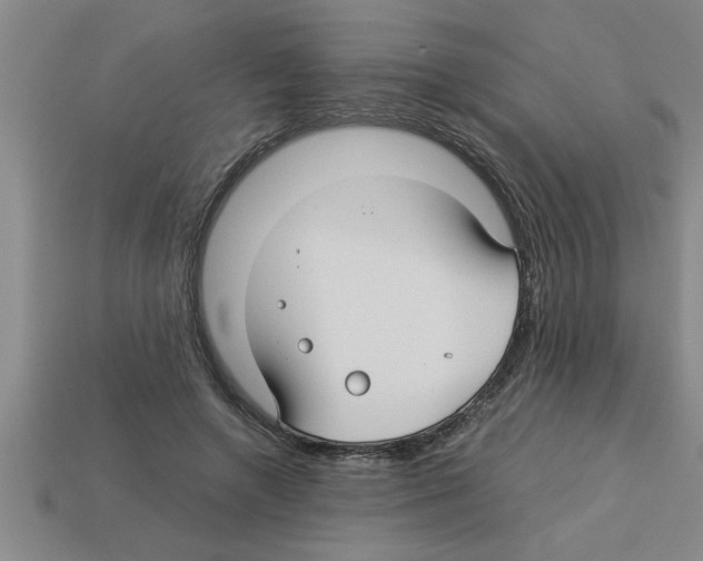 X0000112880546200910021355