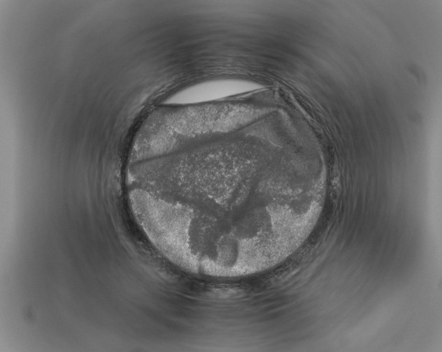 X0000112880547200910021355