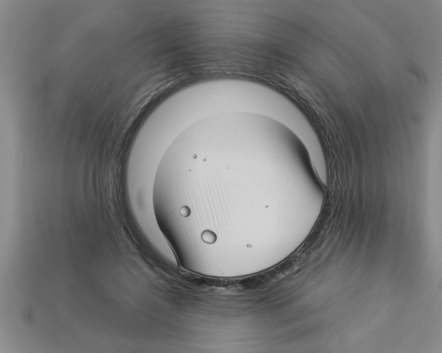 X0000112880548200910021355