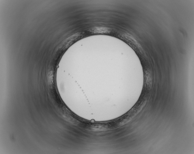 X0000112880549200910021355