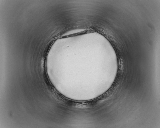 X0000112880550200910021355