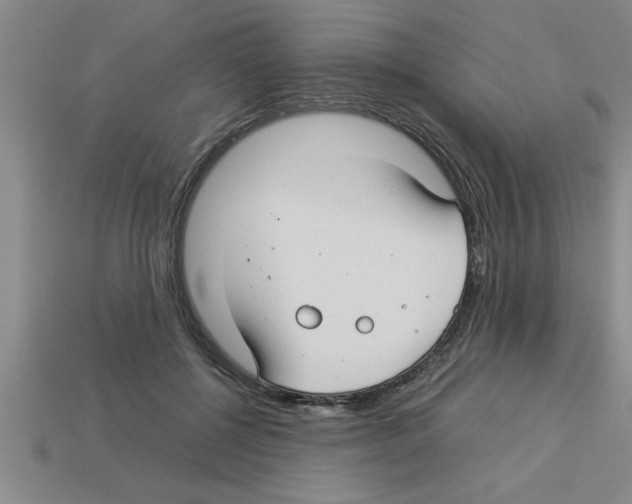 X0000112880552200910021355