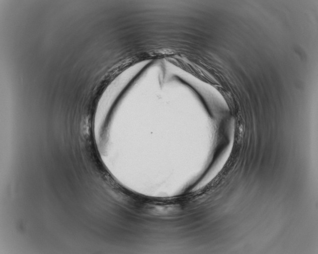 X0000112880555200910021355