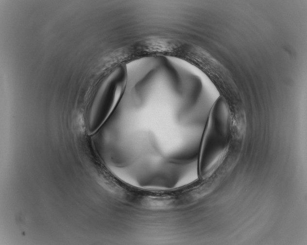 X0000112880556200910021355