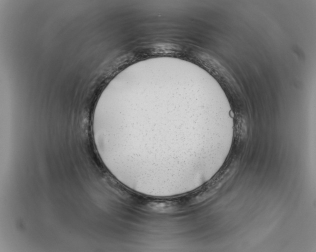 X0000112880557200910021355