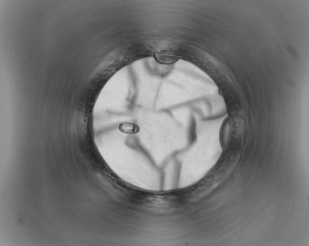 X0000112880558200910021355