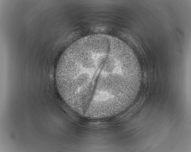 X0000112880561200910021355